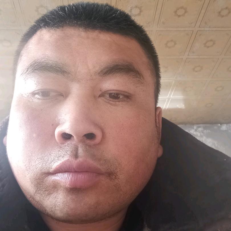 刚强马太福音杜大刚约伯记创世纪启示录