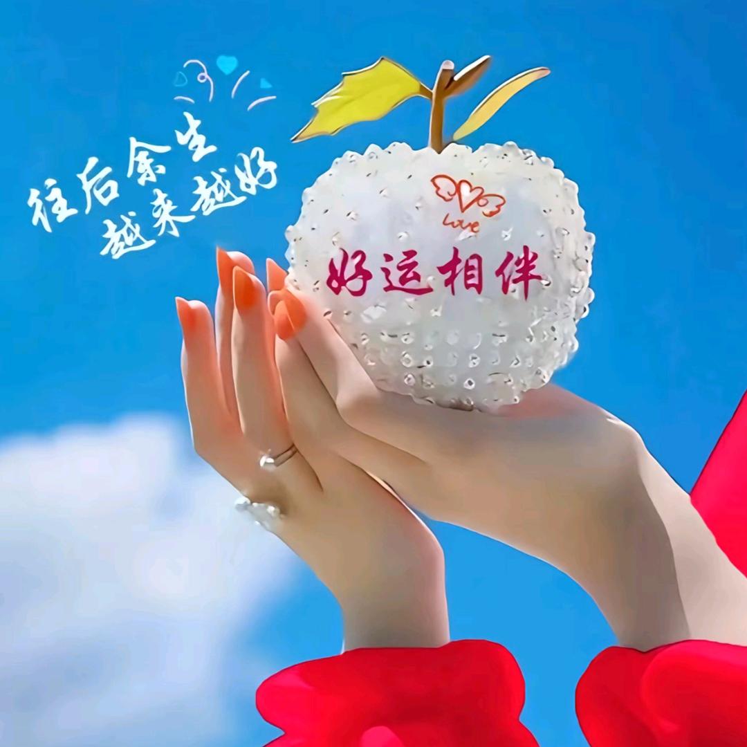 鹏哥百货严选店