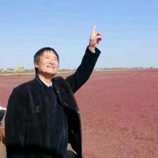 归航