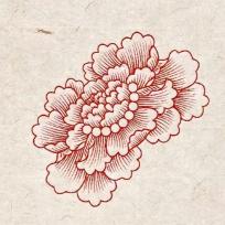 犯罪嫌疑人某某