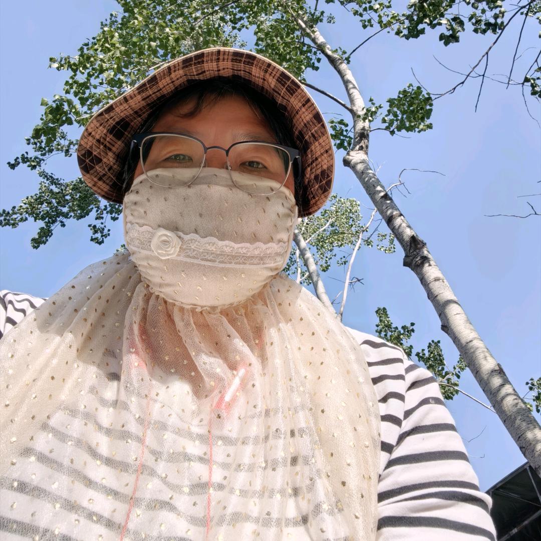 老杨好物推荐