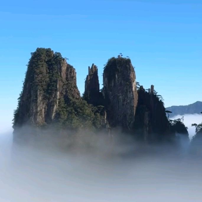 王子哥