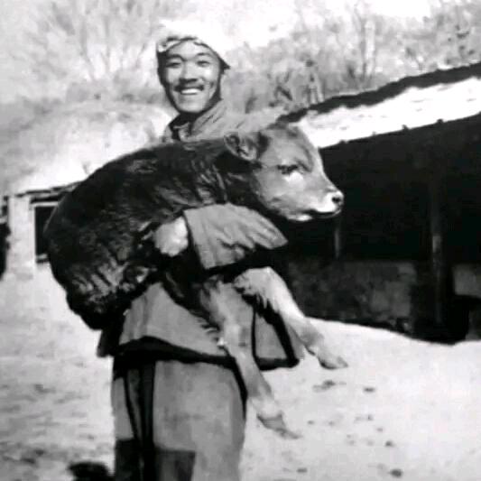 愚人
