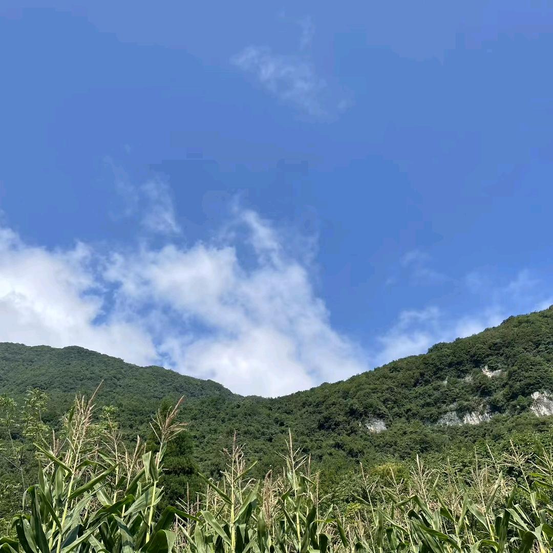 毛毛雨