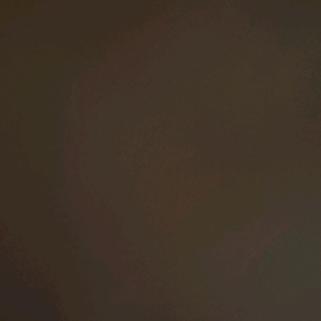 呆᳐呆小猫᳐੭゙