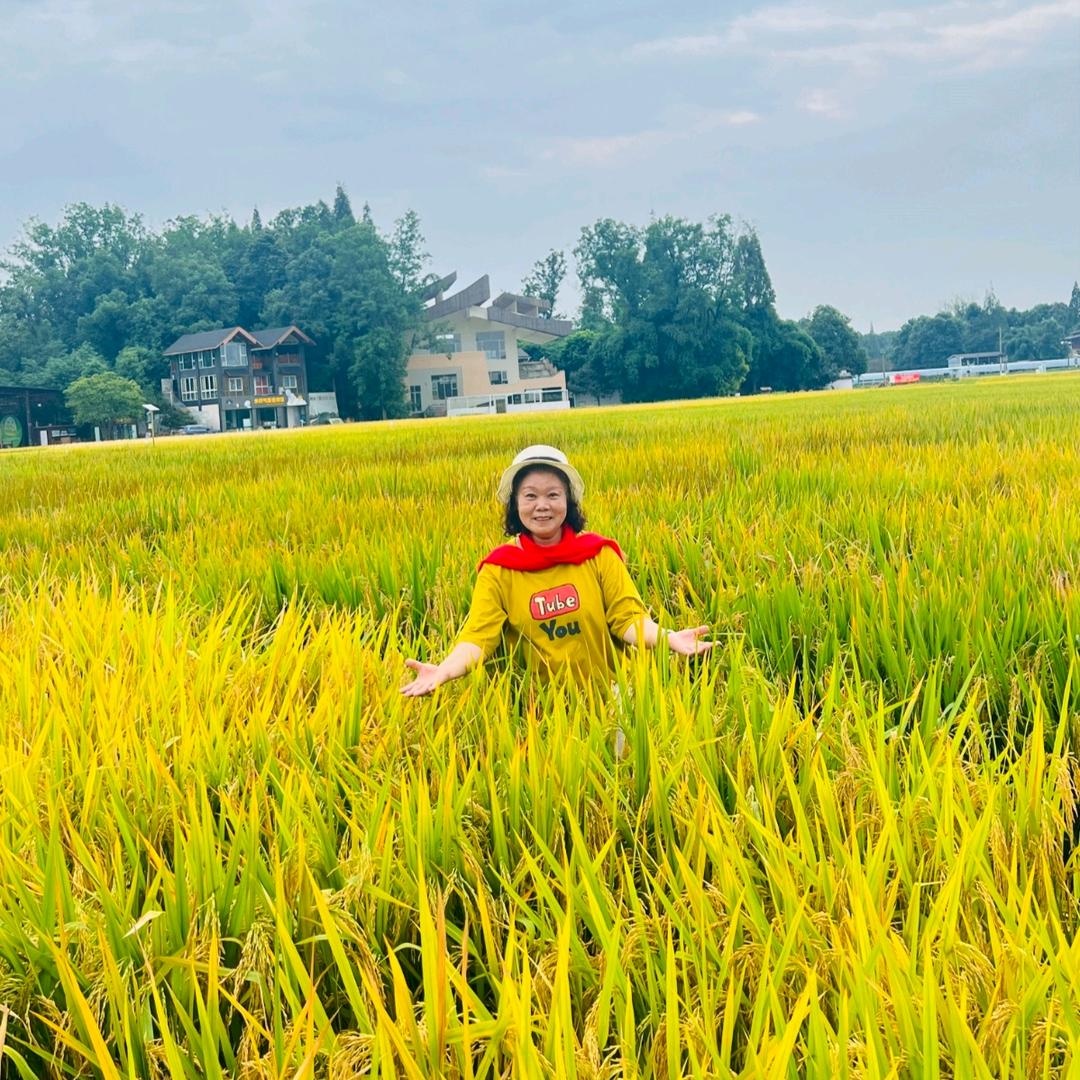 雾里看花65年🐍