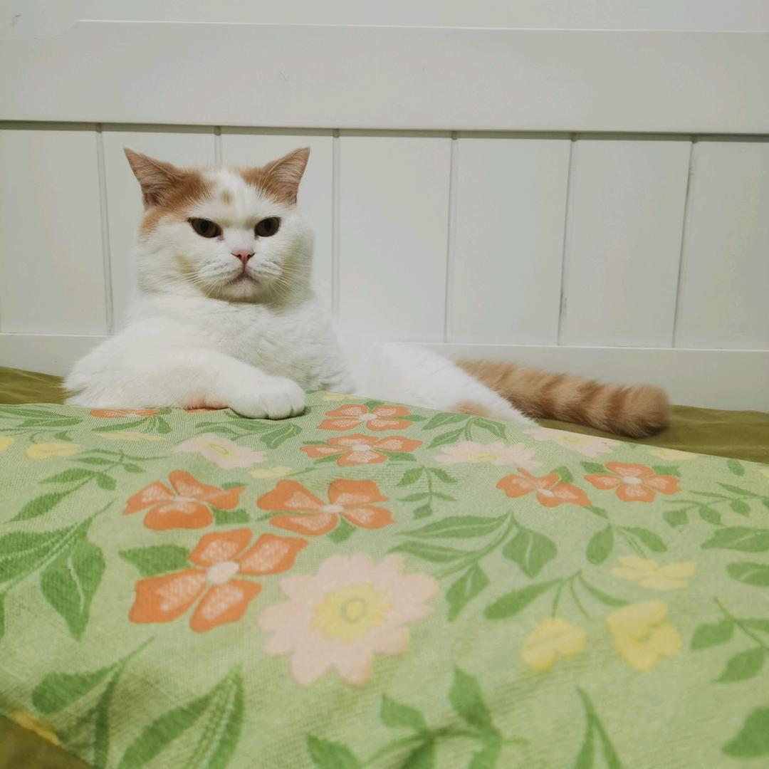钮钴禄钱