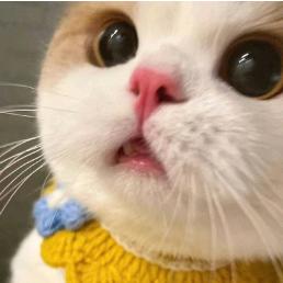 凡尘