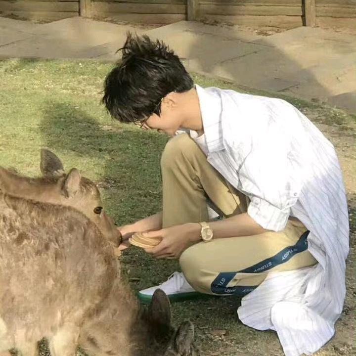 -随心-