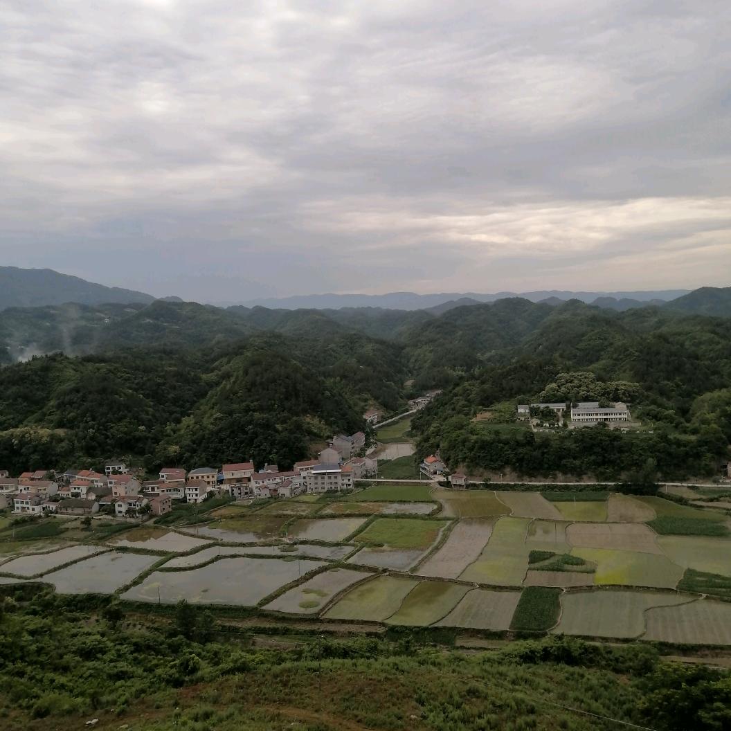开心过好每一天
