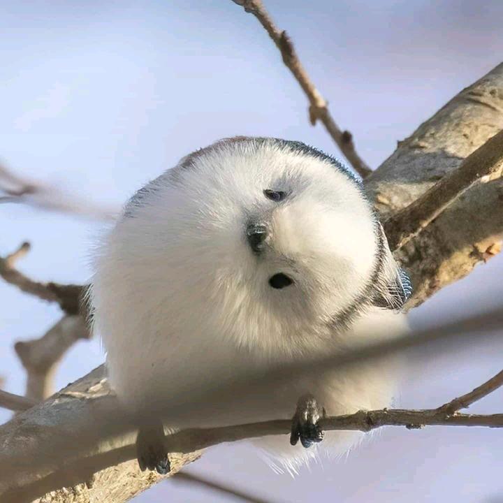 叨叨叨