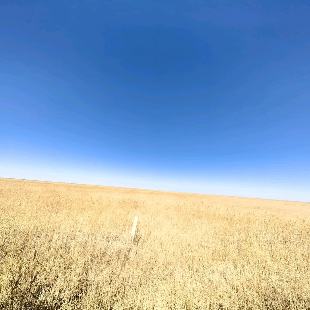 山回路转不见君