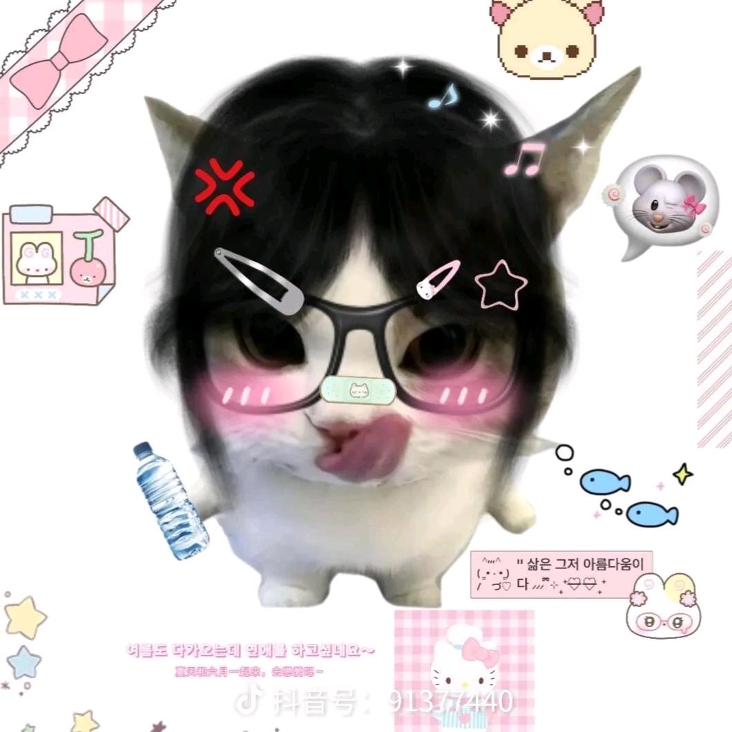 你是不是油猫饼