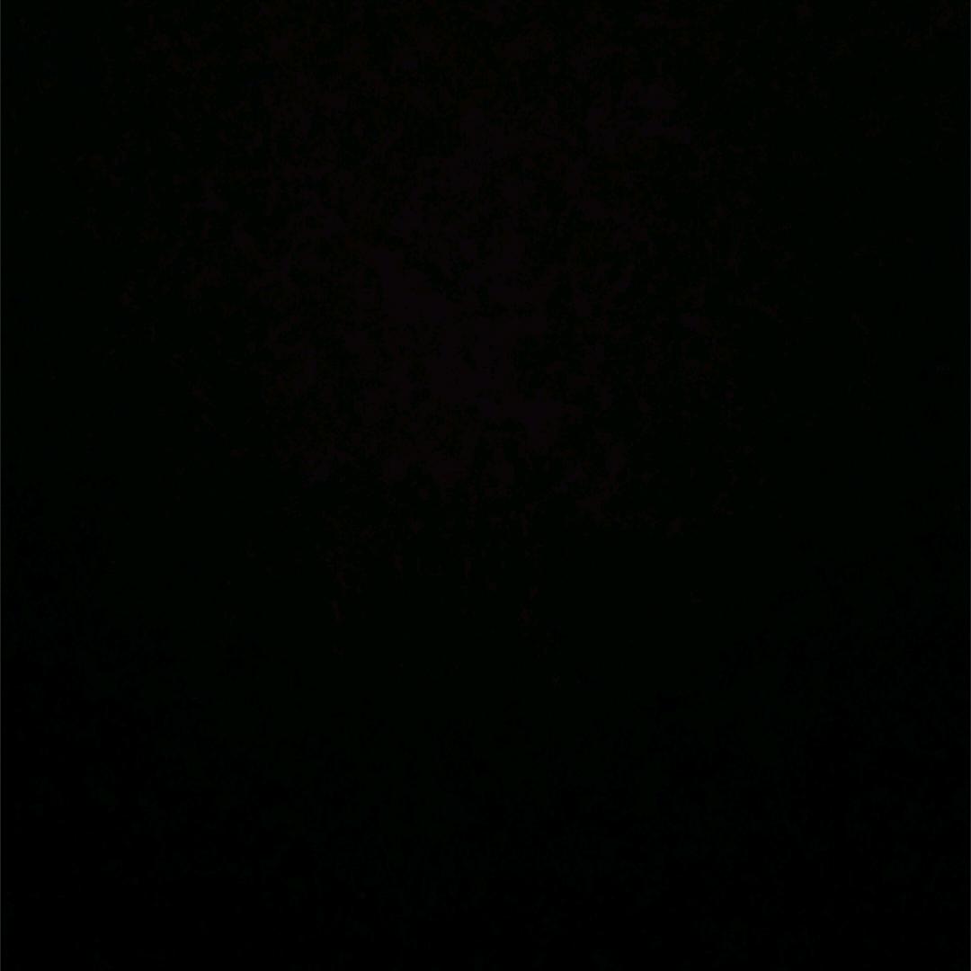 發發發
