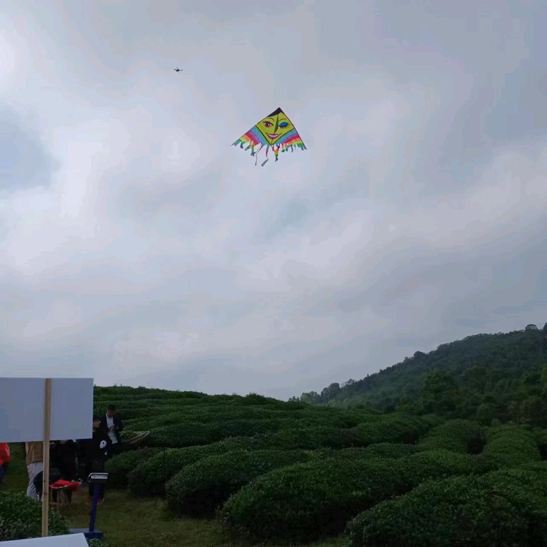 南极洲