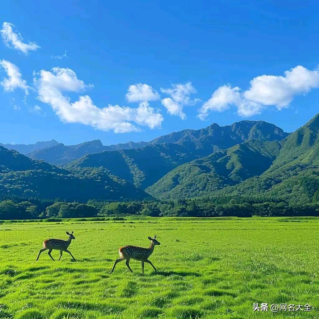秋实无华