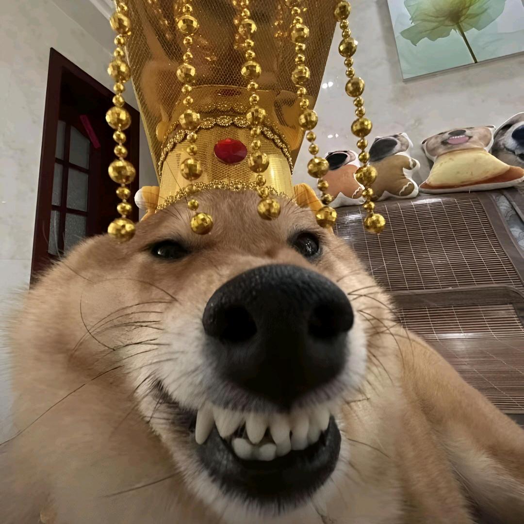 -北海