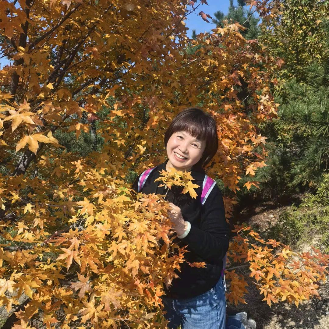沐子青禾