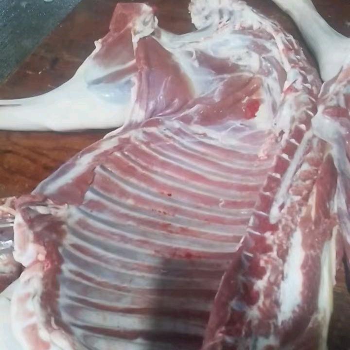 电动车装饰品