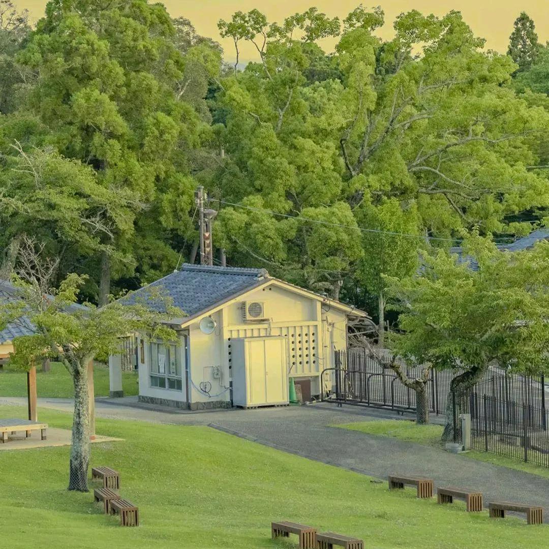 侠茜 战记小助理016号宠粉号