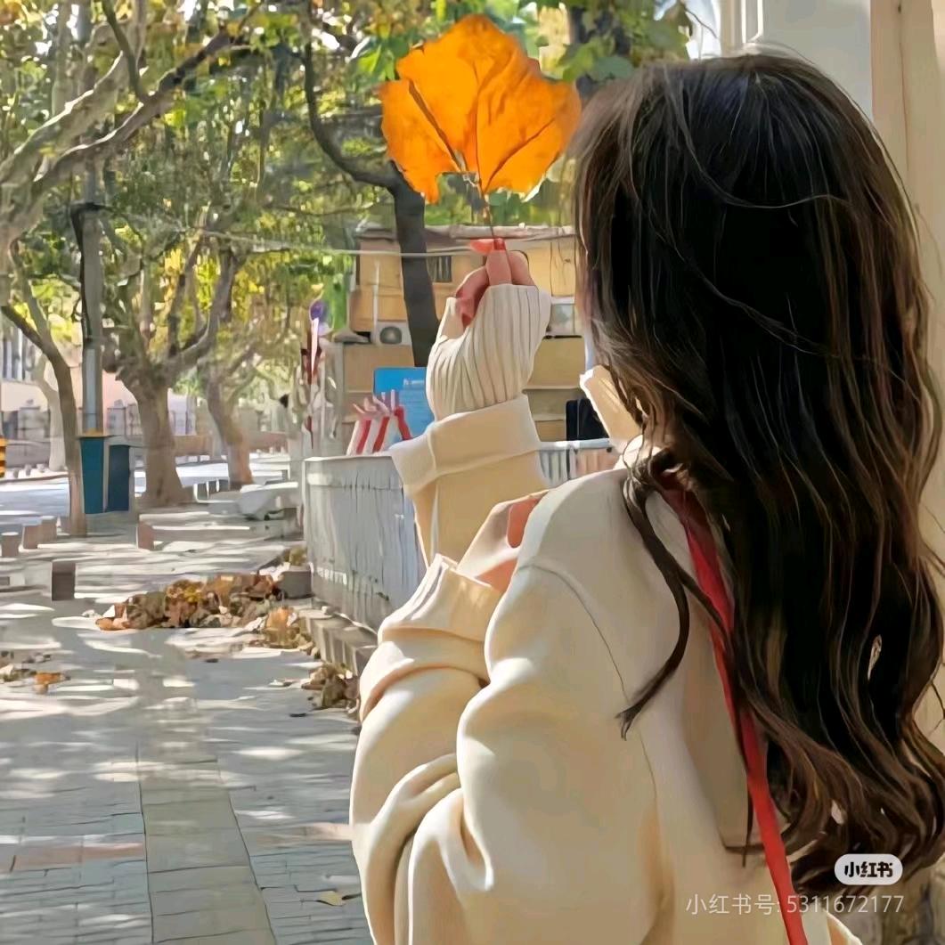 小诺爱看剧