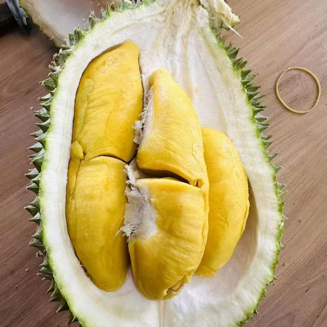 榴恋物语