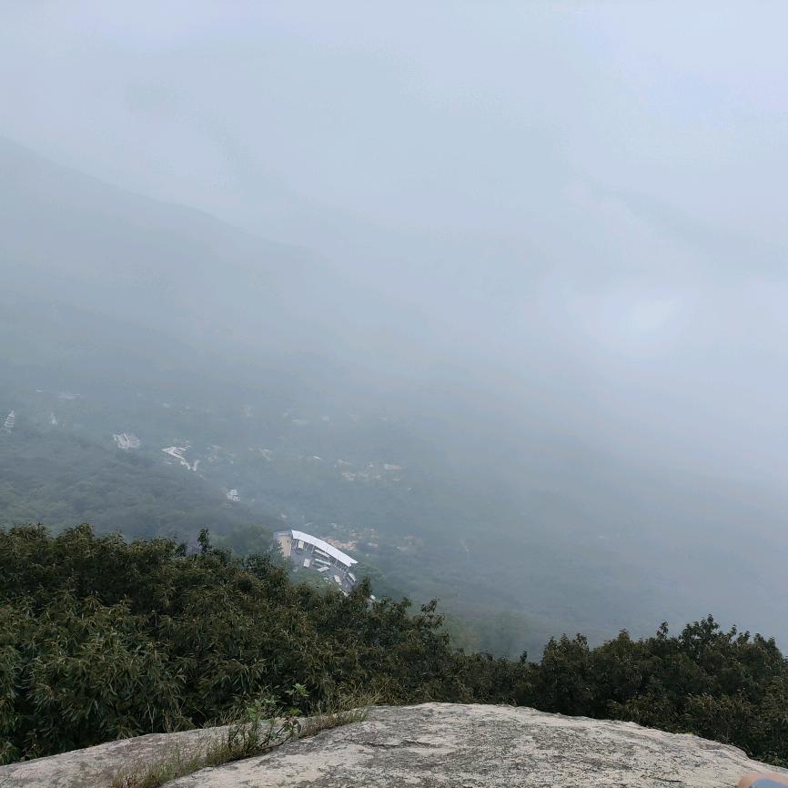 小草