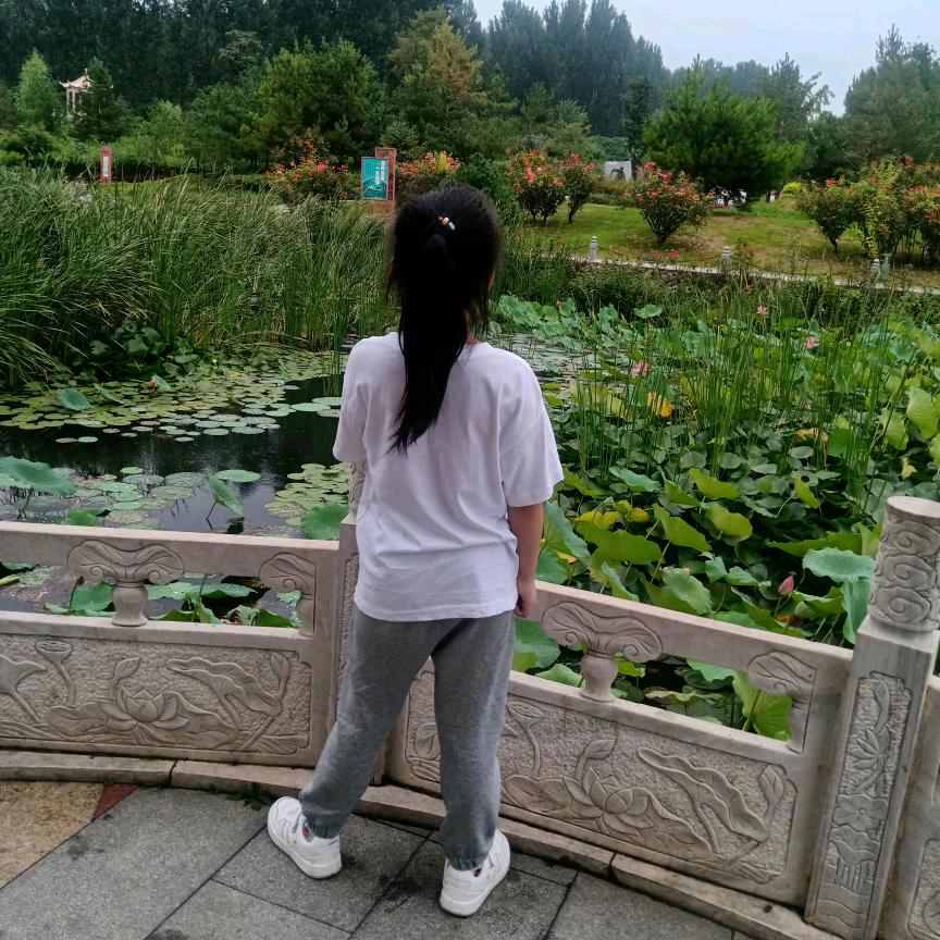 本菇凉百毒不侵