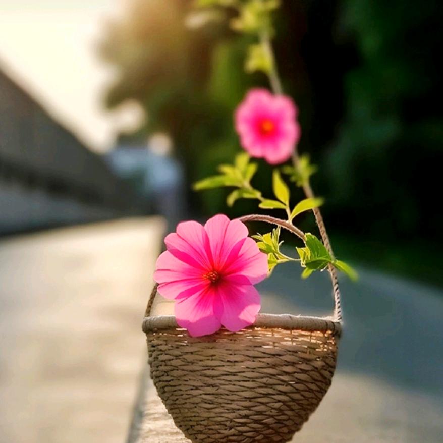 雨露