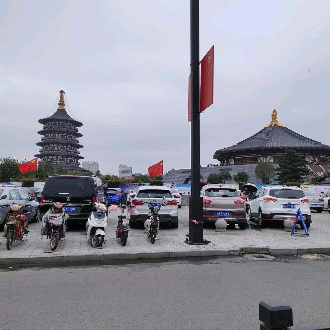 只看不刷