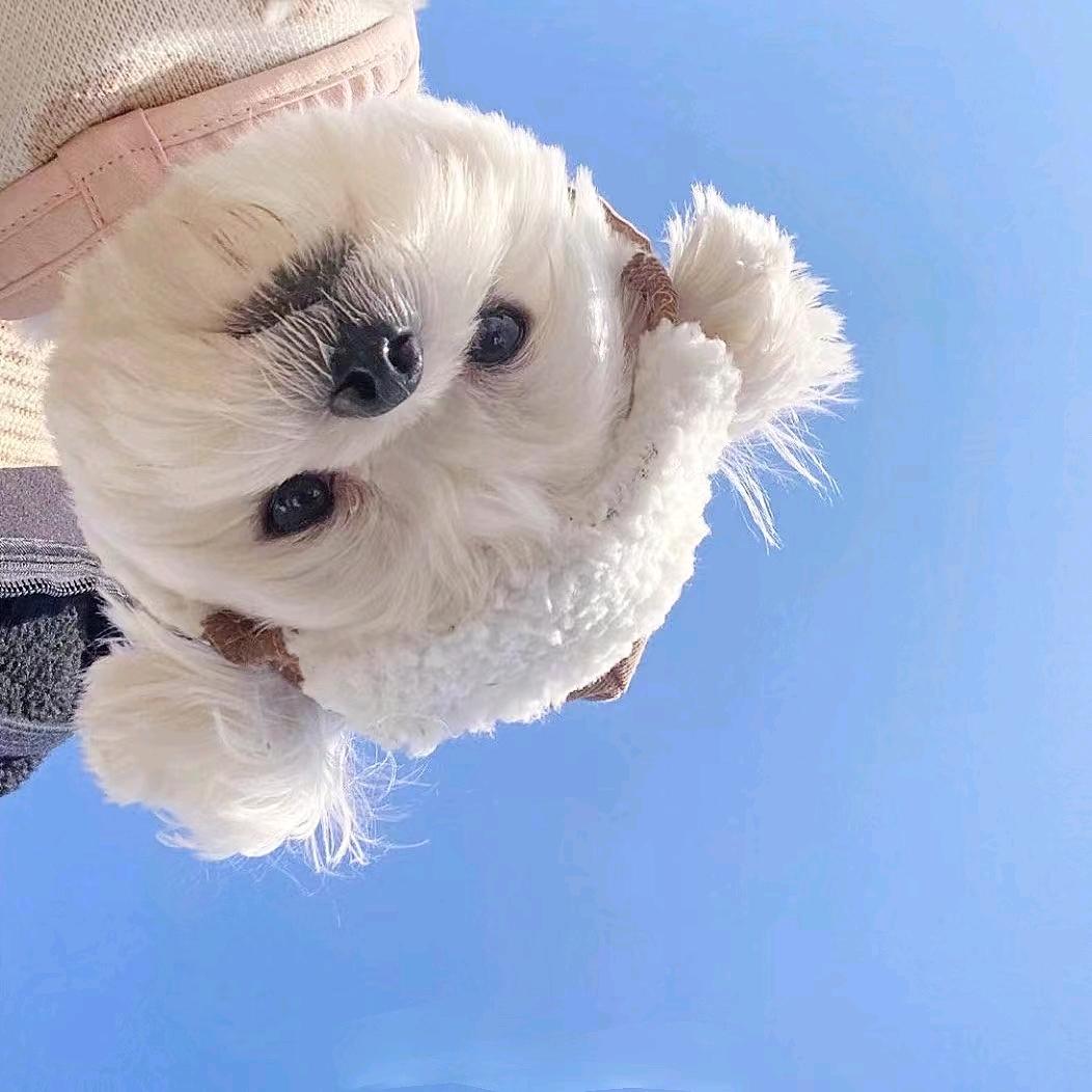 →_→←_←ᴸⁿ🐋