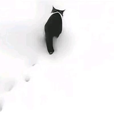 LJZ/.