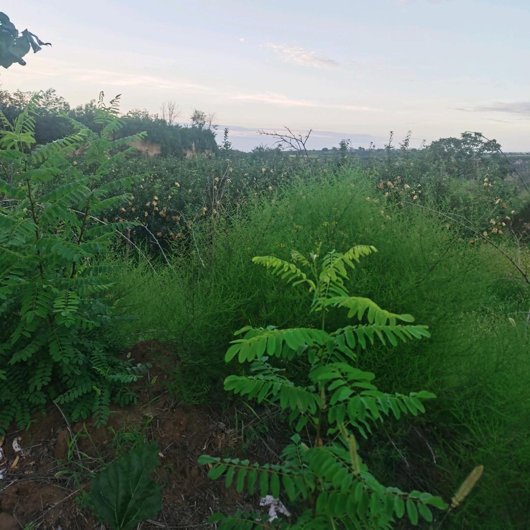 🌏ℒᎭℯ⃝往事👻清零🍒࿐🪷