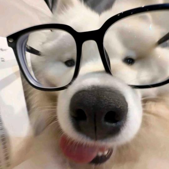 苦练卤蛋三百天！