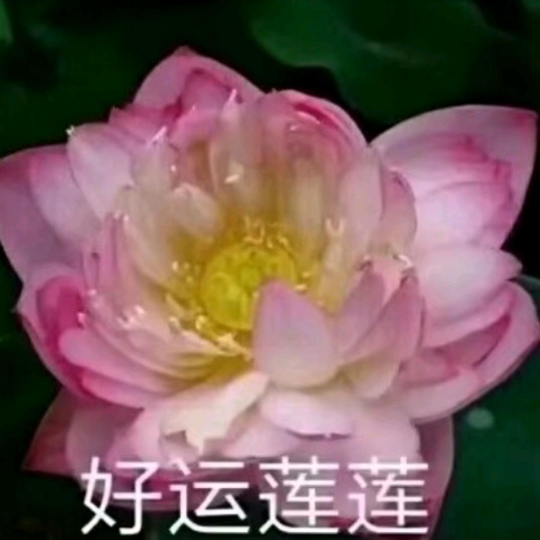 昕雨