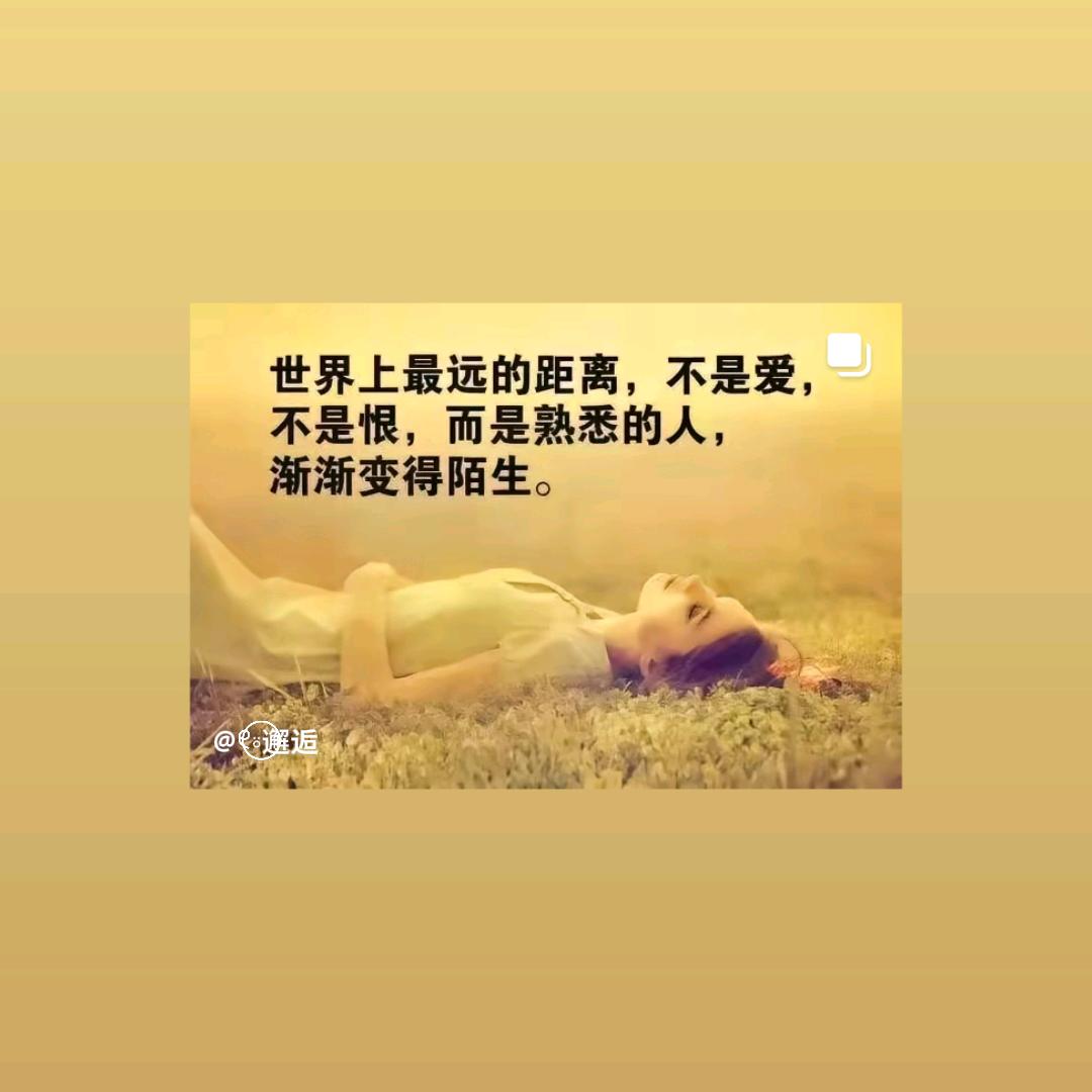 ꕥ᭄卡布ꦿᩚ奇诺࿐²⁰²⁴