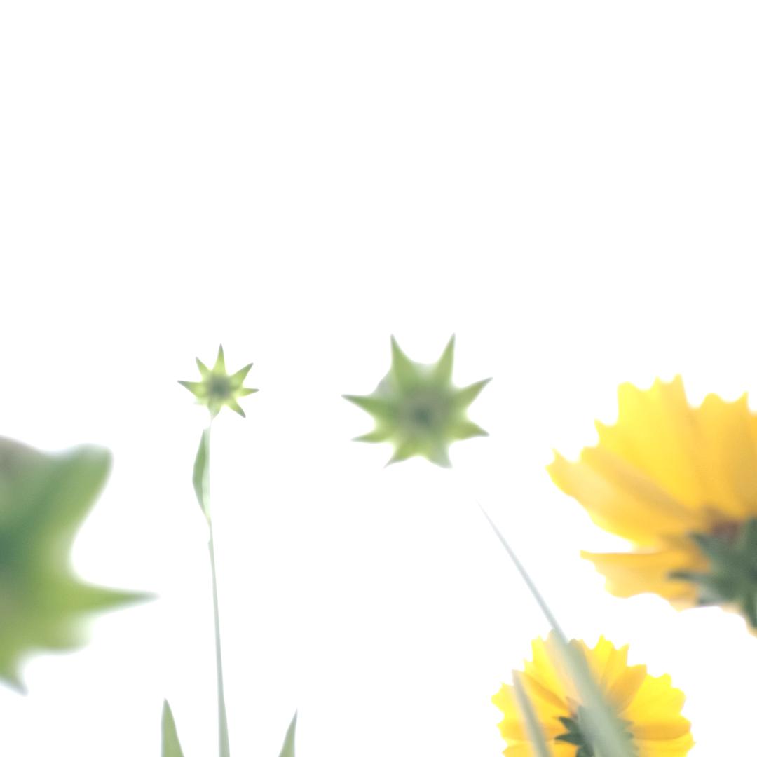 我的小小幸福^O^