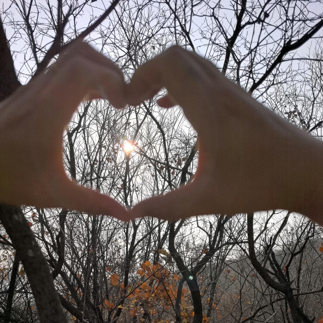 张家大小姐👑👑