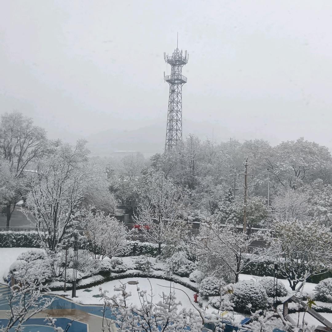 我是爷爷