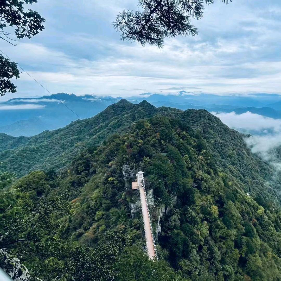 默许