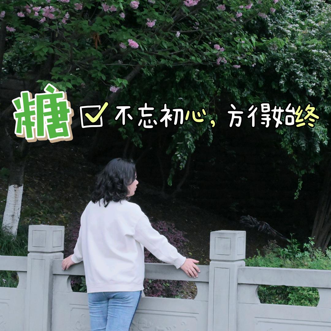 🌻豆豆🌻