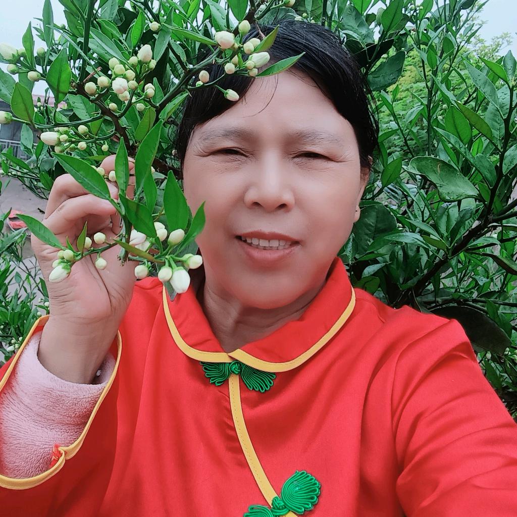 寒冰乐