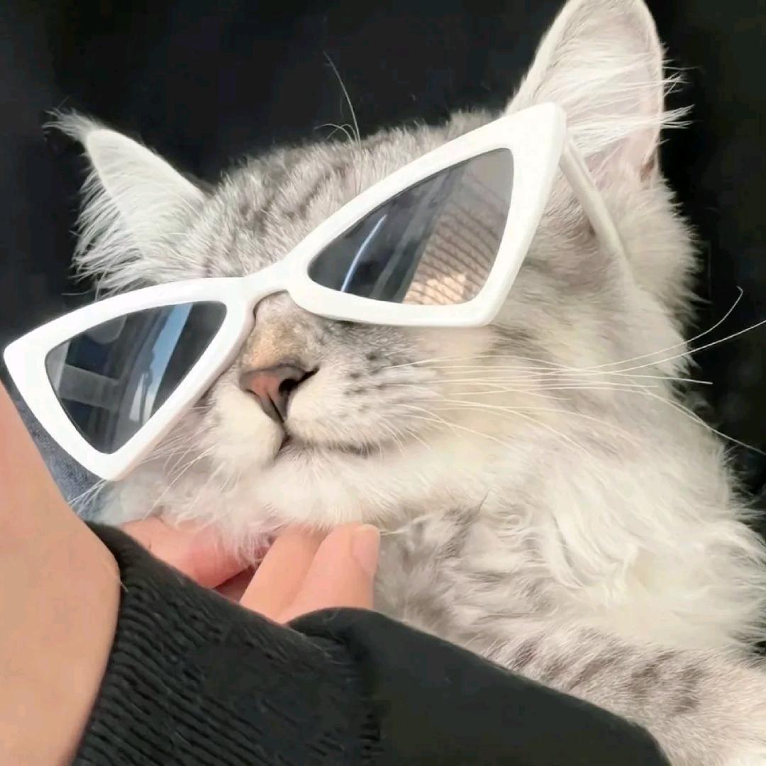 火影琉璃（本溪化学老师版）