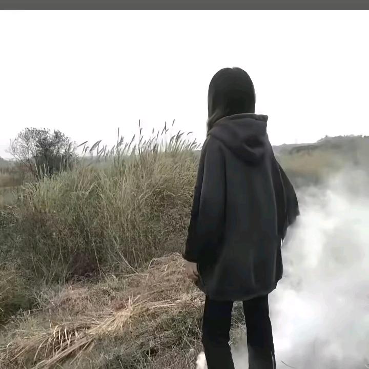 不吃香菜