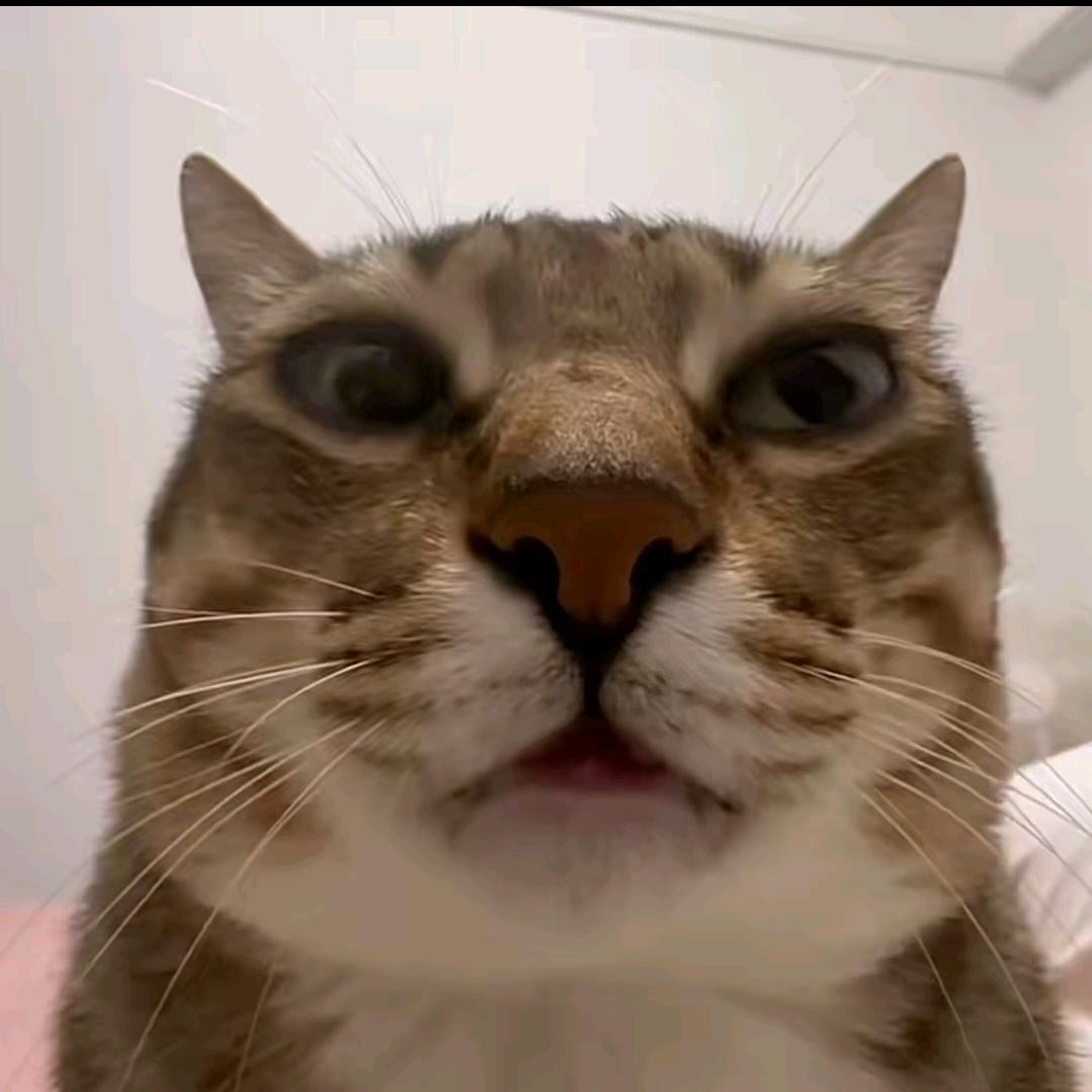 一叶～知秋