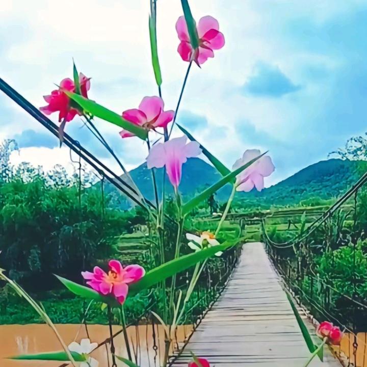 好运常来
