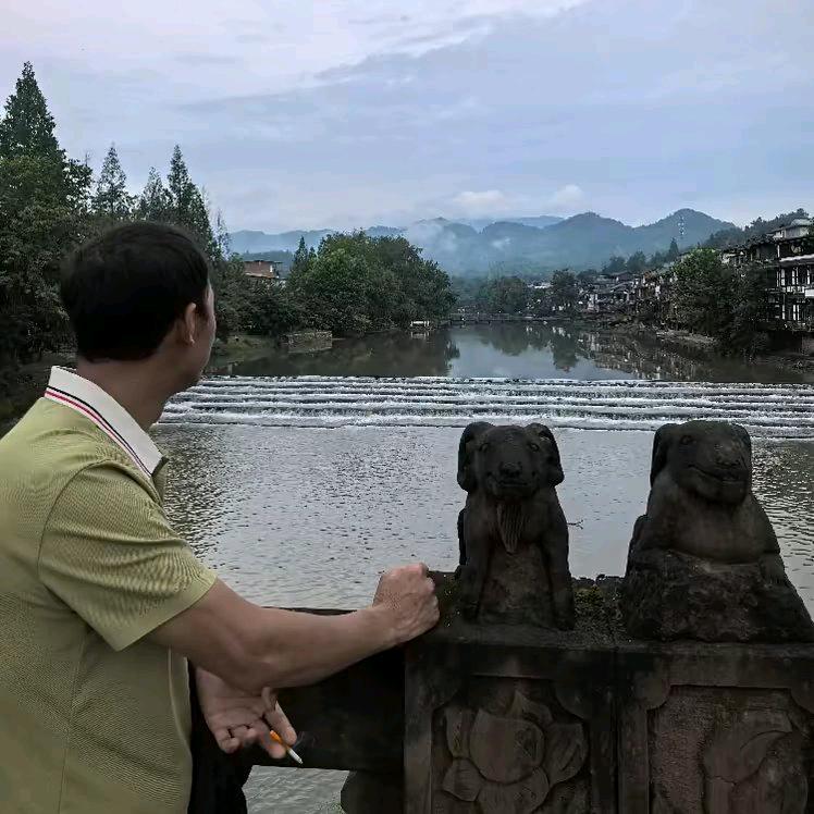 舞树者（杨世)