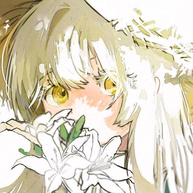 沈怜