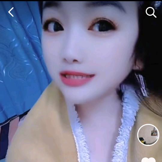 月月红