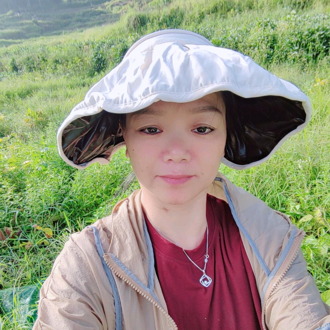 秋天的秋菊🌹🌹